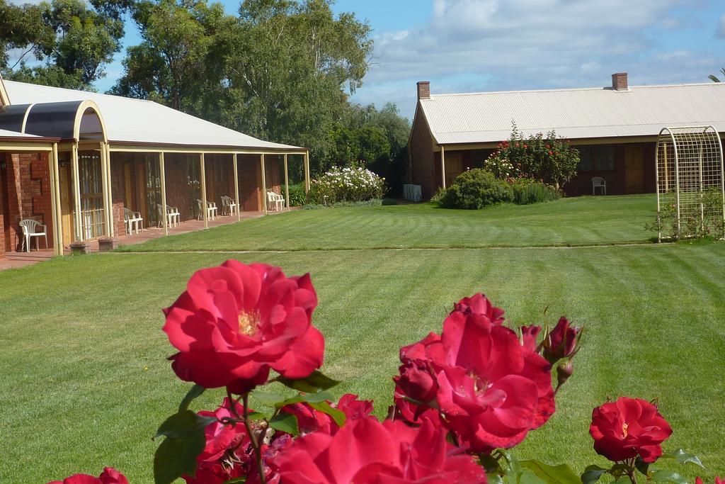 Coonawarra Place Motor Inn Buitenkant foto