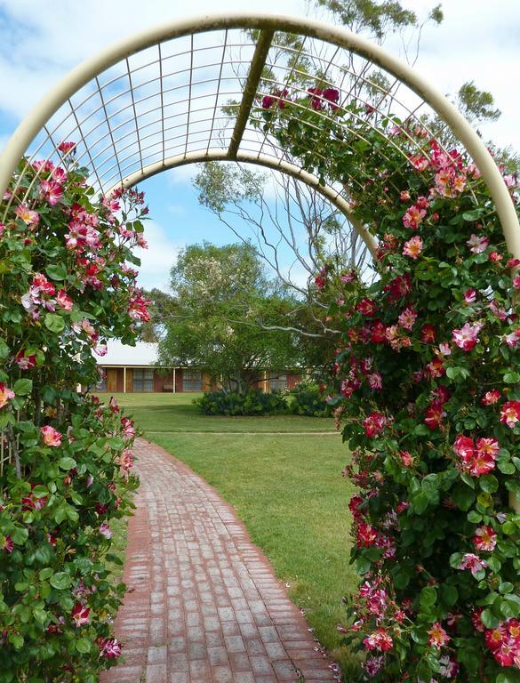 Coonawarra Place Motor Inn Buitenkant foto