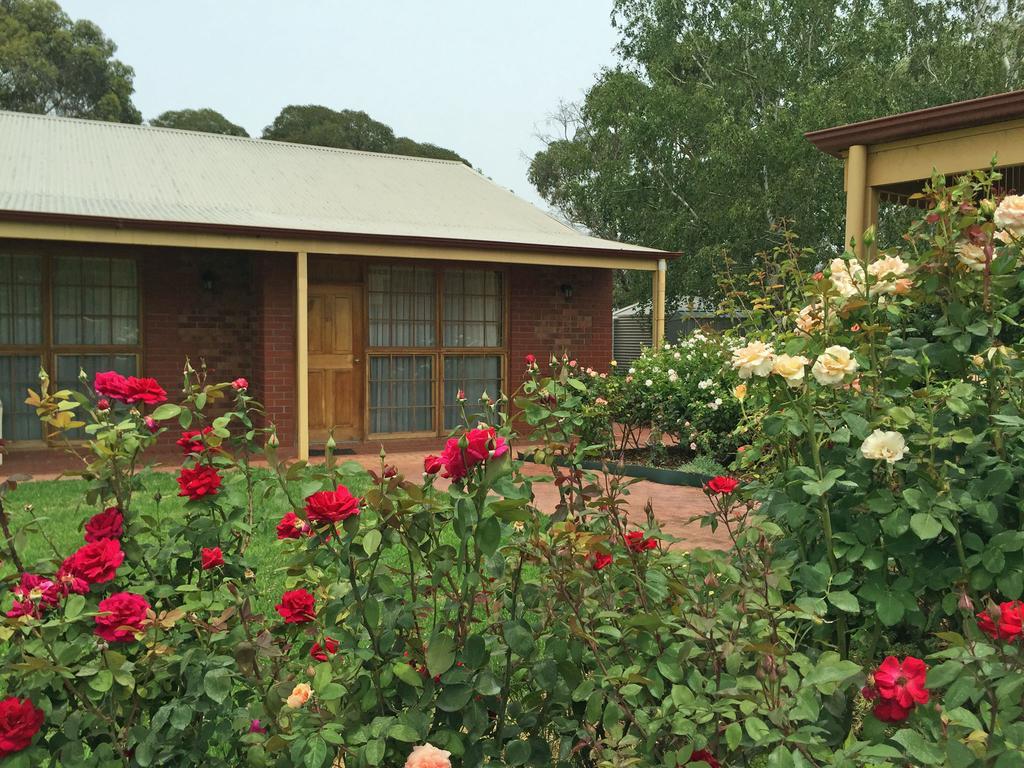 Coonawarra Place Motor Inn Buitenkant foto
