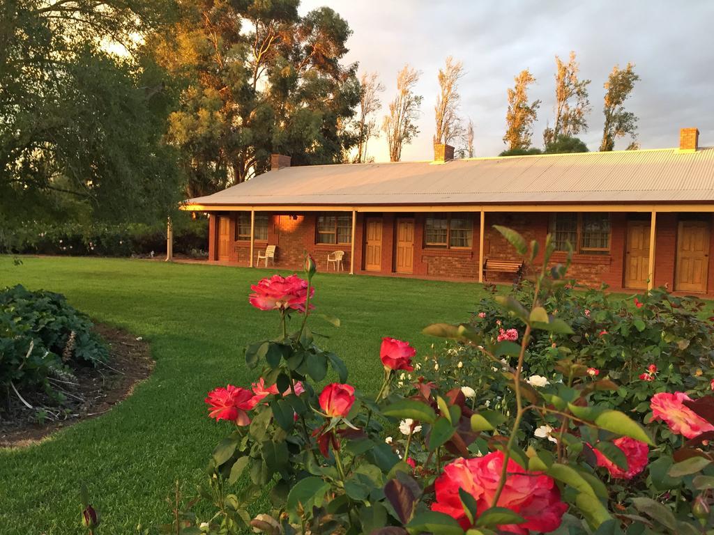 Coonawarra Place Motor Inn Buitenkant foto
