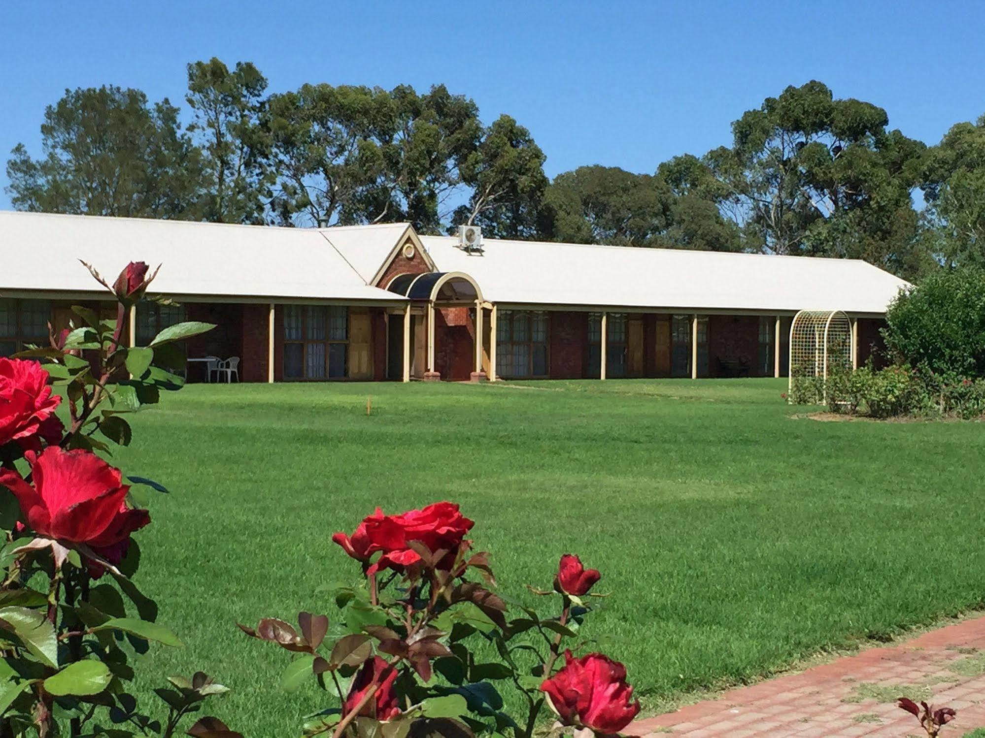 Coonawarra Place Motor Inn Buitenkant foto
