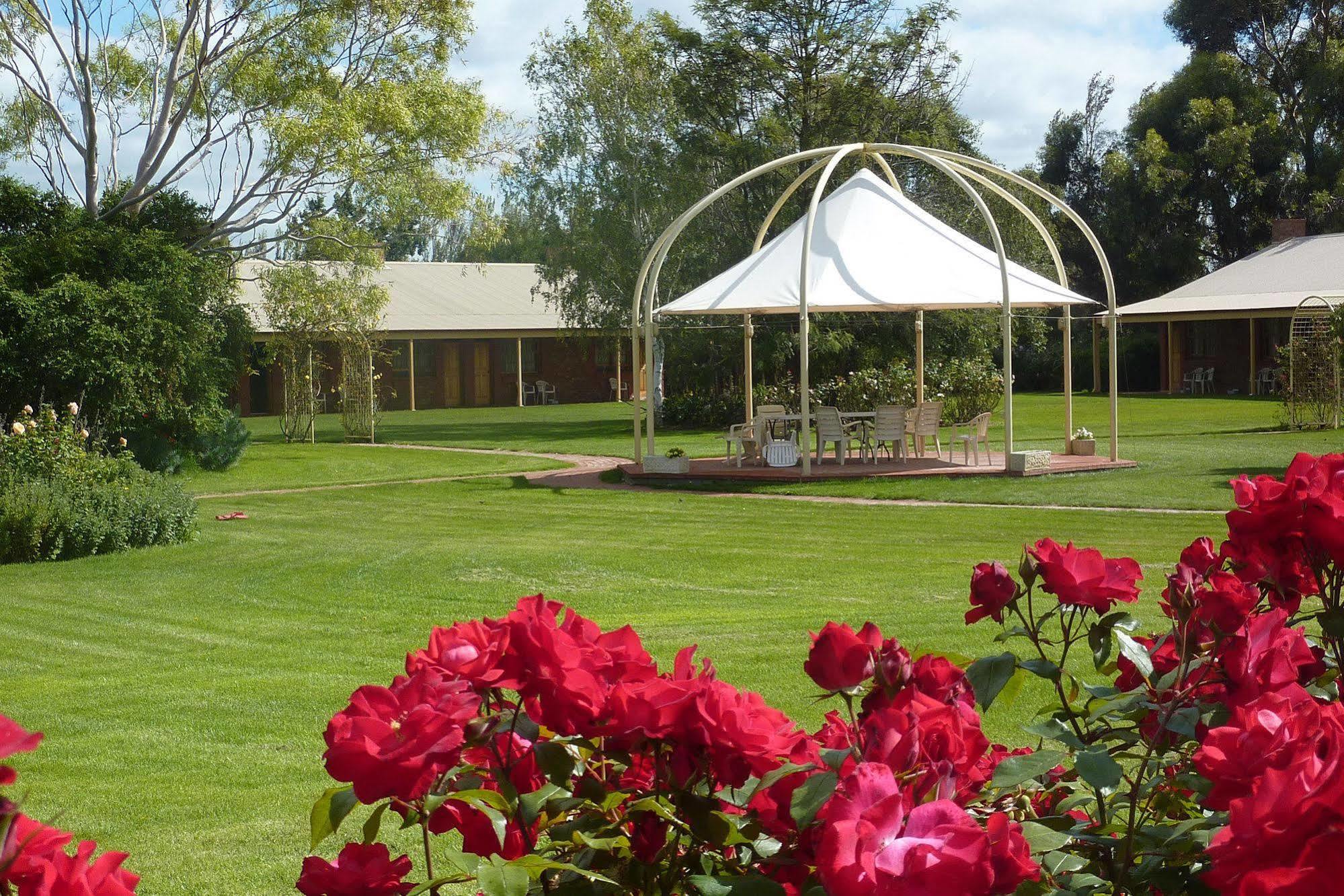 Coonawarra Place Motor Inn Buitenkant foto