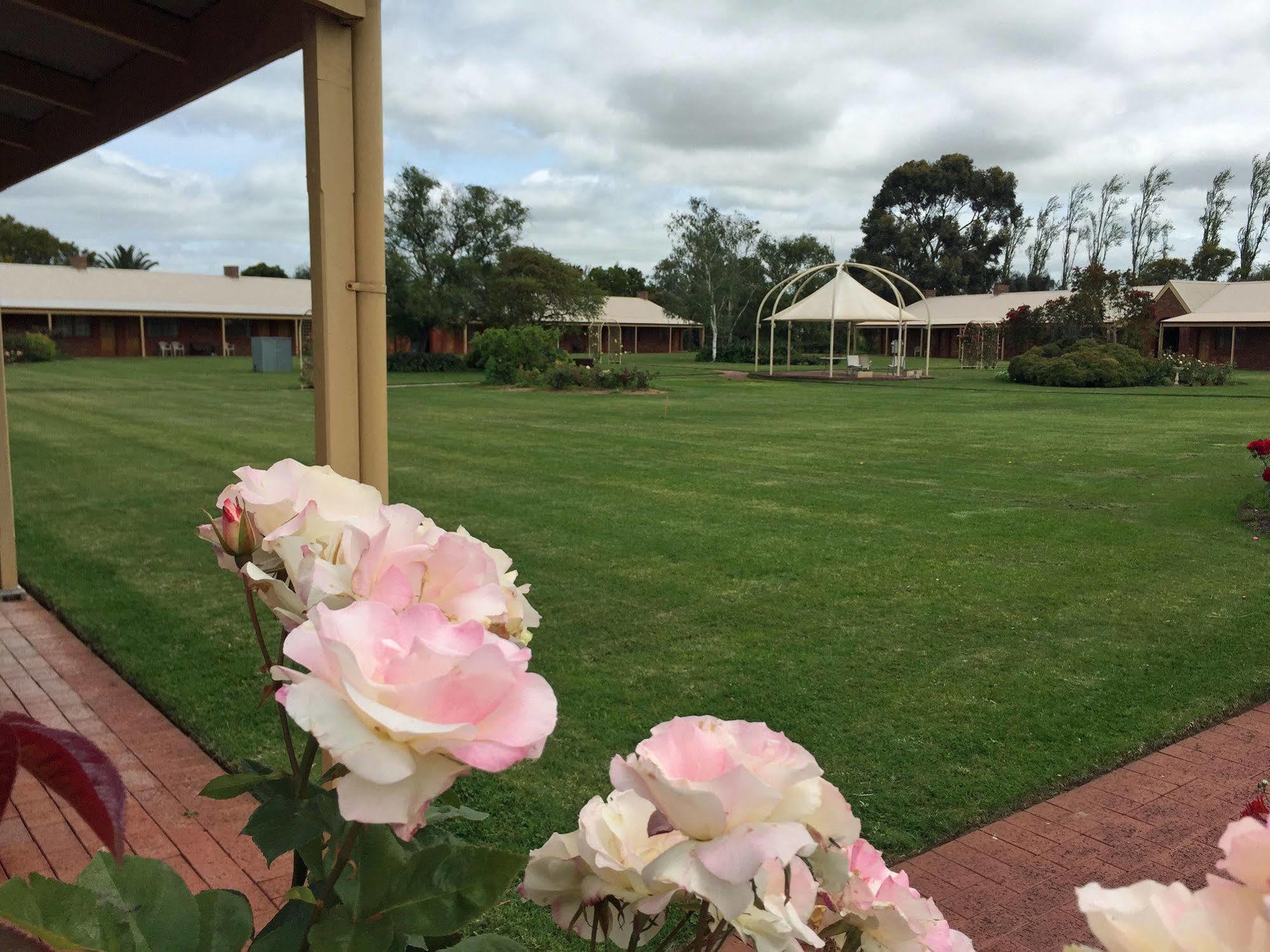 Coonawarra Place Motor Inn Buitenkant foto
