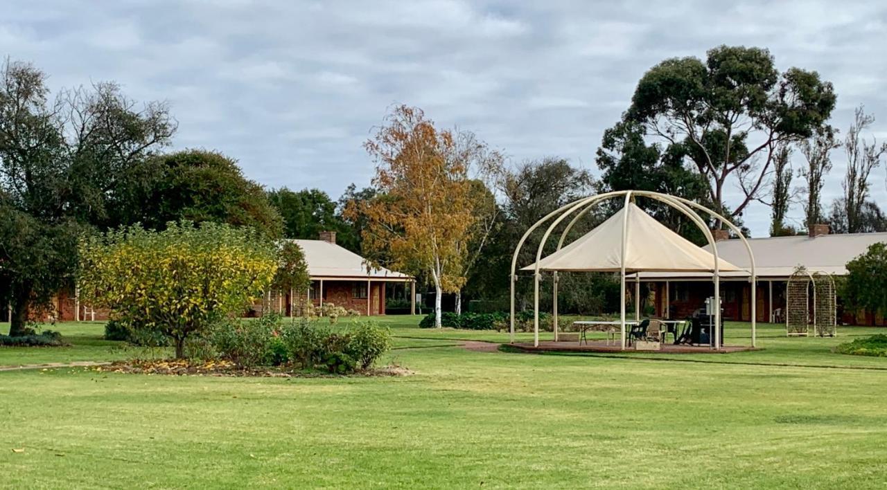 Coonawarra Place Motor Inn Buitenkant foto